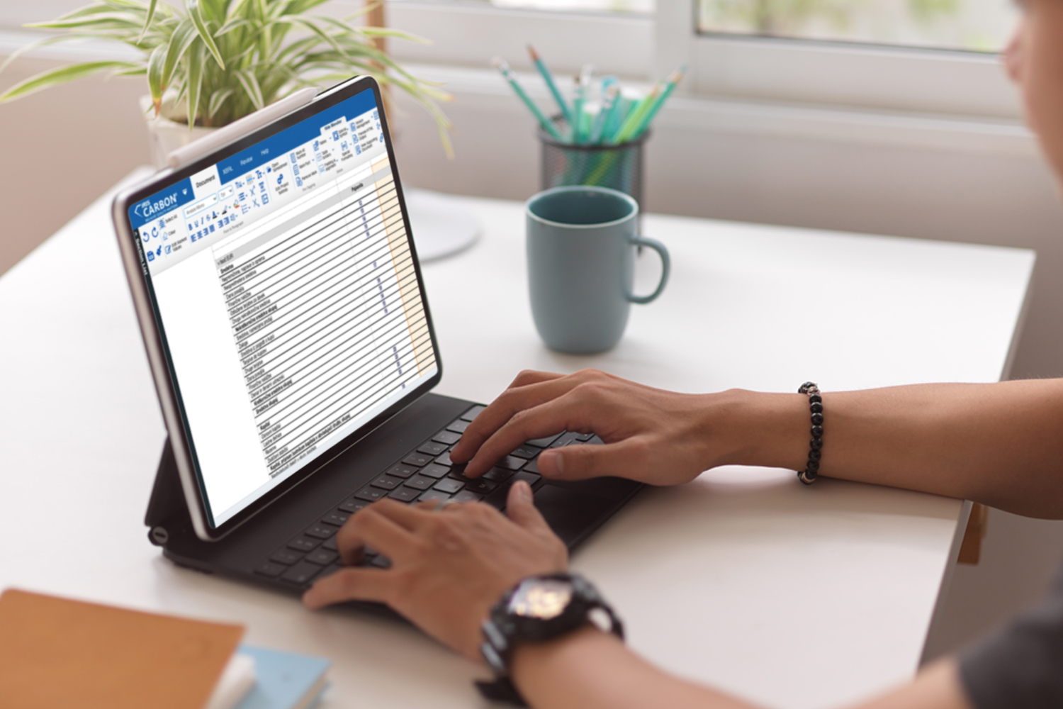CIPC iXBRL Software