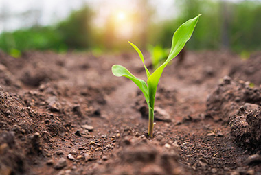 Sustainability Data ESMA Sustainability Data ESMA