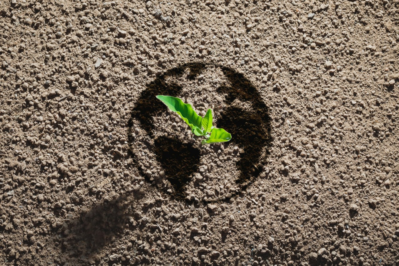 US SEC Climate Disclosure