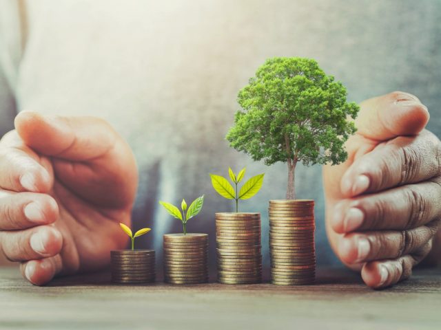 ESG Investing for Beginners: Key Concepts and Strategies