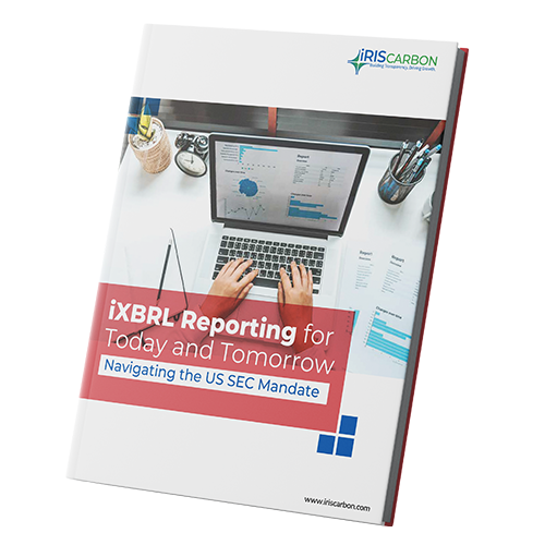 iXBRL Reporting for Today and Tomorrow Navigating the US SEC Mandate