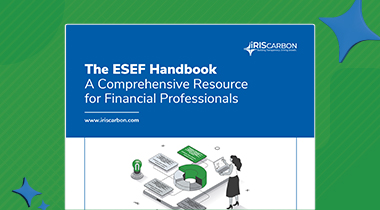 ESEF Handbook