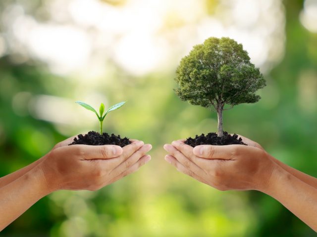 Addressing Greenwashing: Best Practices for ESG Transparency in the USA