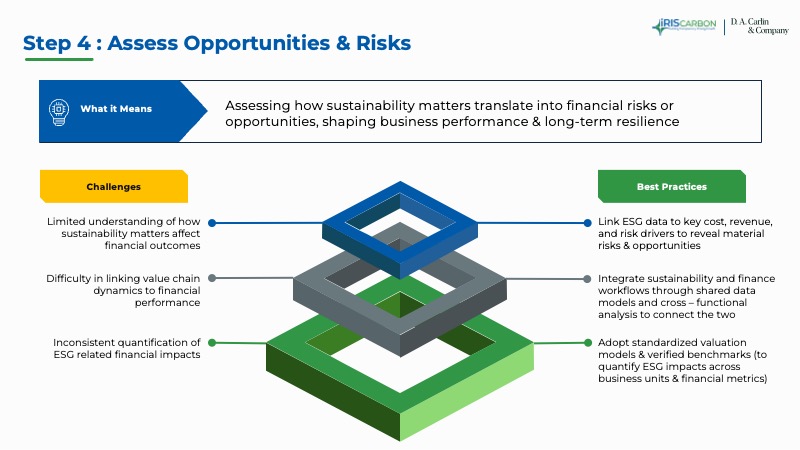 Step 4 Assess Opportunities & Risks