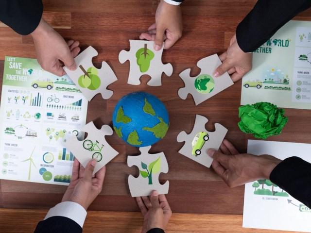 5 Step Approach to a Successful DMA: Insights from D.A. Carlin & Co. and IRIS CARBON®