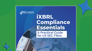 Guide for US SEC Filers
